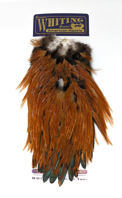 Whiting American Rooster Saddles Brown Saddle Hackle, Hen Hackle, Asst. Feathers