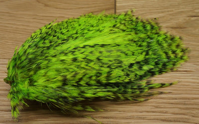 Whiting American Streamer Pack Grizzly Fl Green Chartreuse Saddle Hackle, Hen Hackle, Asst. Feathers