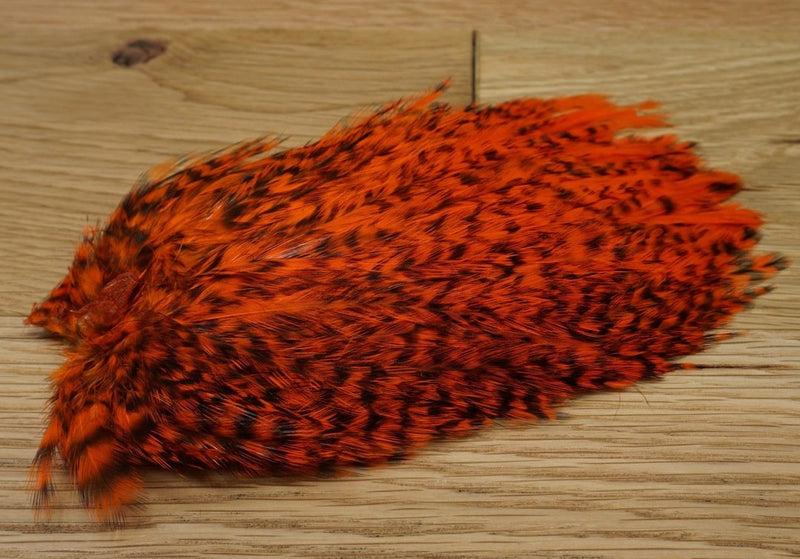 Whiting American Streamer Pack Grizzly Orange Saddle Hackle, Hen Hackle, Asst. Feathers