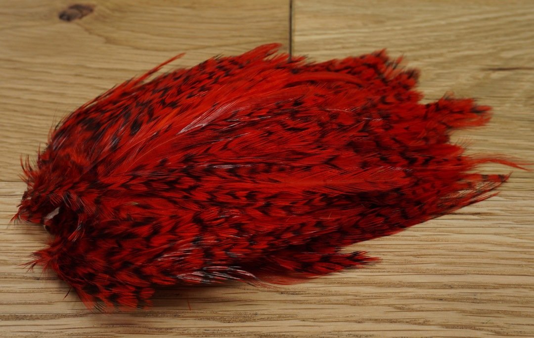 Whiting American Streamer Pack Grizzly Red Saddle Hackle, Hen Hackle, Asst. Feathers