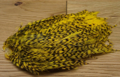 Whiting American Streamer Pack Grizzly Yellow Saddle Hackle, Hen Hackle, Asst. Feathers