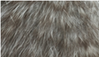 Whiting Bird Fur Grizzly Saddle Hackle, Hen Hackle, Asst. Feathers