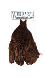 Whiting Brahma Hen Cape Saddle Hackle, Hen Hackle, Asst. Feathers