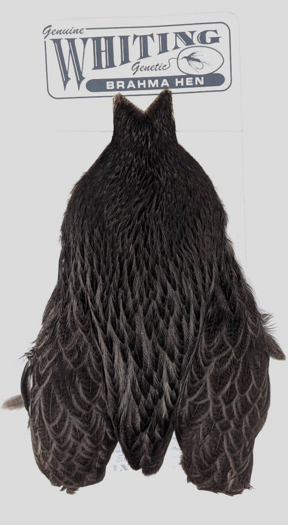 Whiting Brahma Hen Cape Badger Dyed Dark Dun Saddle Hackle, Hen Hackle, Asst. Feathers