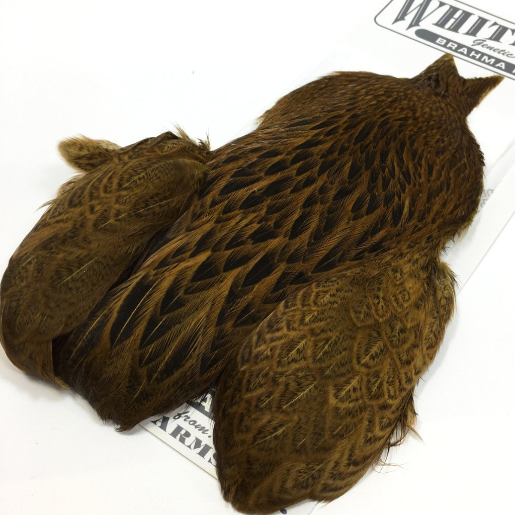 Whiting Brahma Hen Cape – Dakota Angler & Outfitter