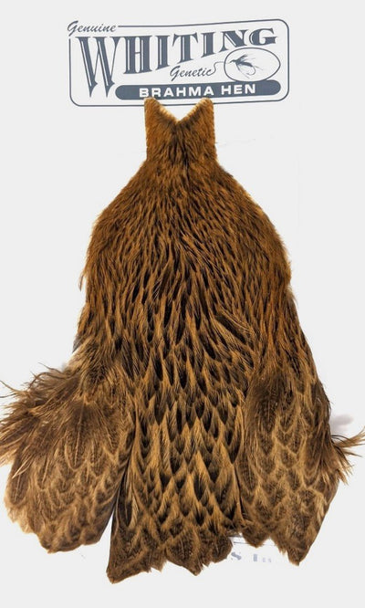 Whiting Brahma Hen Cape Badger Dyed March Brown Saddle Hackle, Hen Hackle, Asst. Feathers
