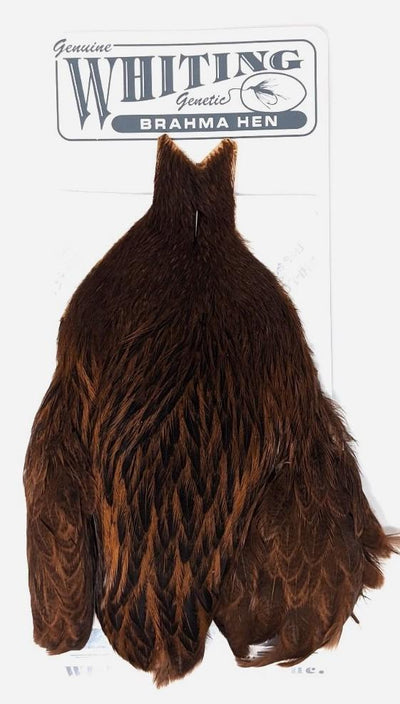 Whiting Brahma Hen Cape Badger dyed Natural Brown Saddle Hackle, Hen Hackle, Asst. Feathers