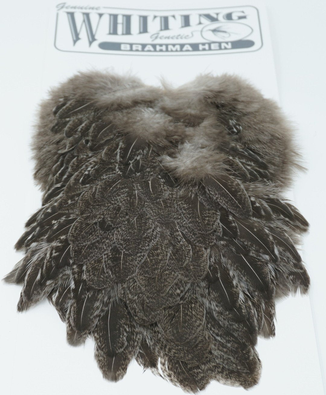 Whiting Brahma Hen Saddle Saddle Hackle, Hen Hackle, Asst. Feathers