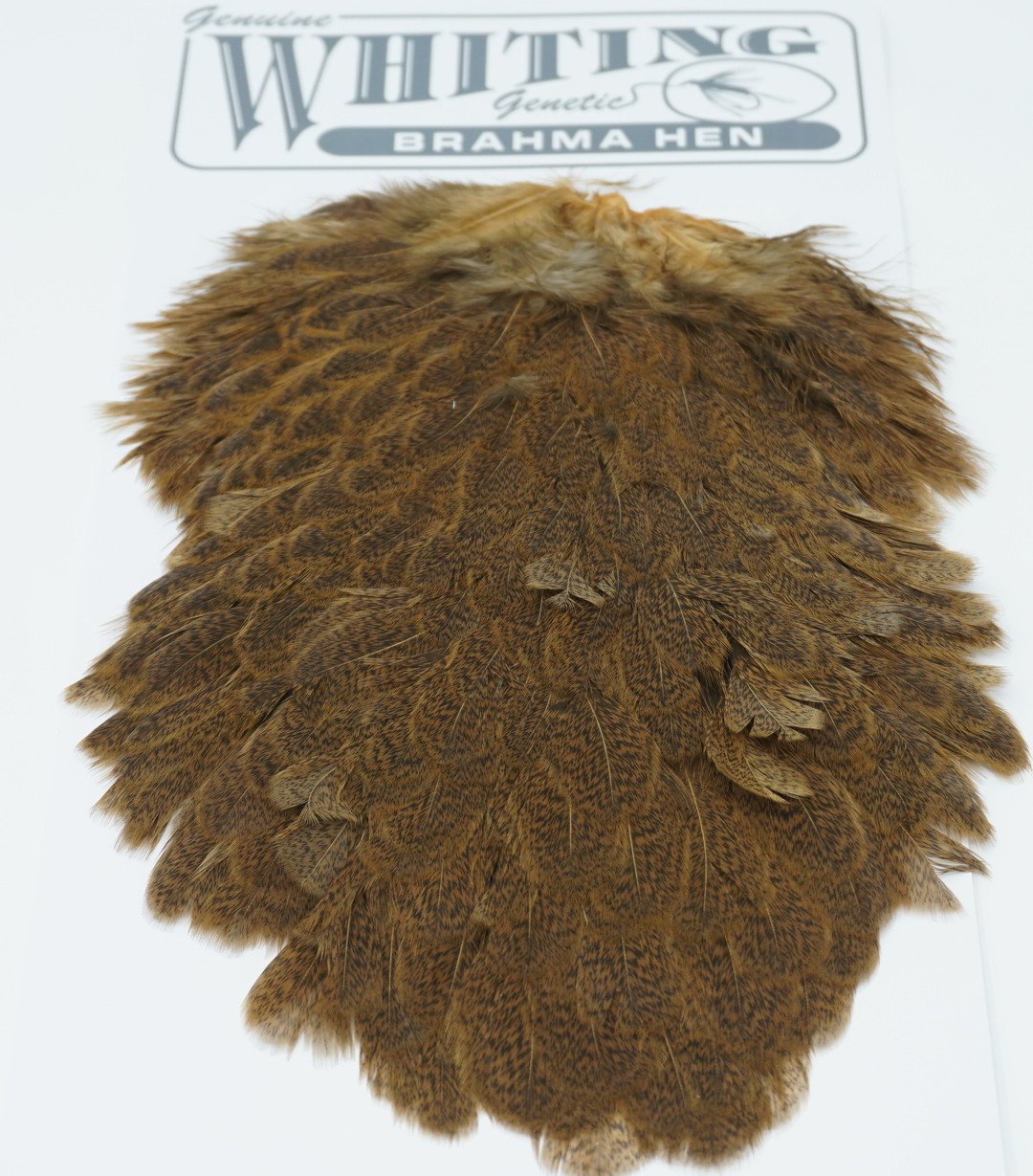 Whiting Brahma Hen Saddle Saddle Hackle, Hen Hackle, Asst. Feathers