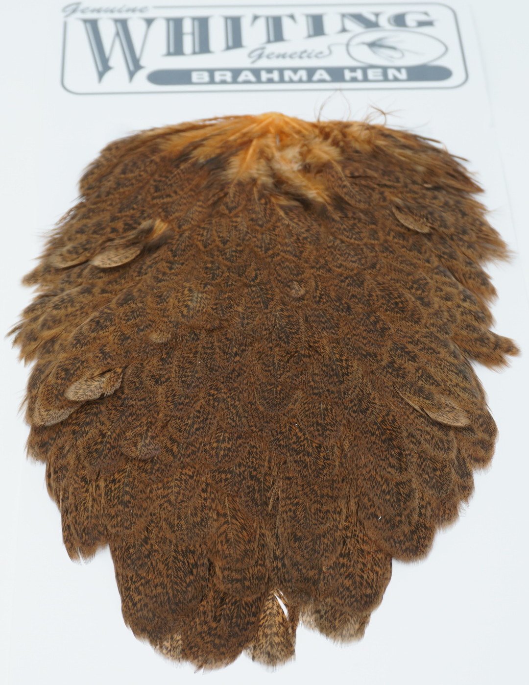 Whiting Brahma Hen Saddle Saddle Hackle, Hen Hackle, Asst. Feathers