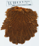 Whiting Brahma Hen Saddle Burnt Orange Saddle Hackle, Hen Hackle, Asst. Feathers