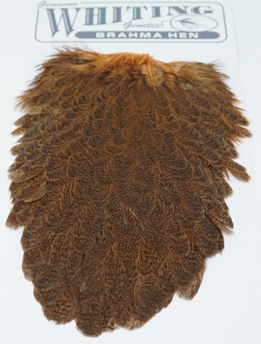 Whiting Brahma Hen Saddle Golden Brown Saddle Hackle, Hen Hackle, Asst. Feathers