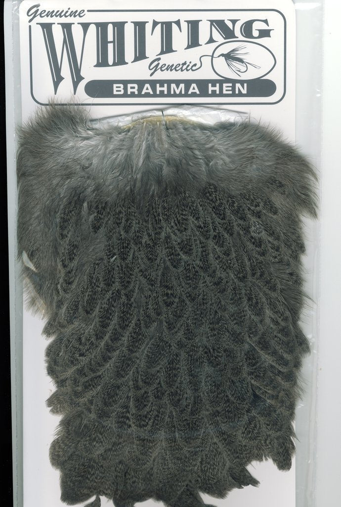 Whiting Brahma Hen Saddle Grey Saddle Hackle, Hen Hackle, Asst. Feathers