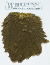 Whiting Brahma Hen Saddle Mottled Grey dyed Golden Olive Saddle Hackle, Hen Hackle, Asst. Feathers