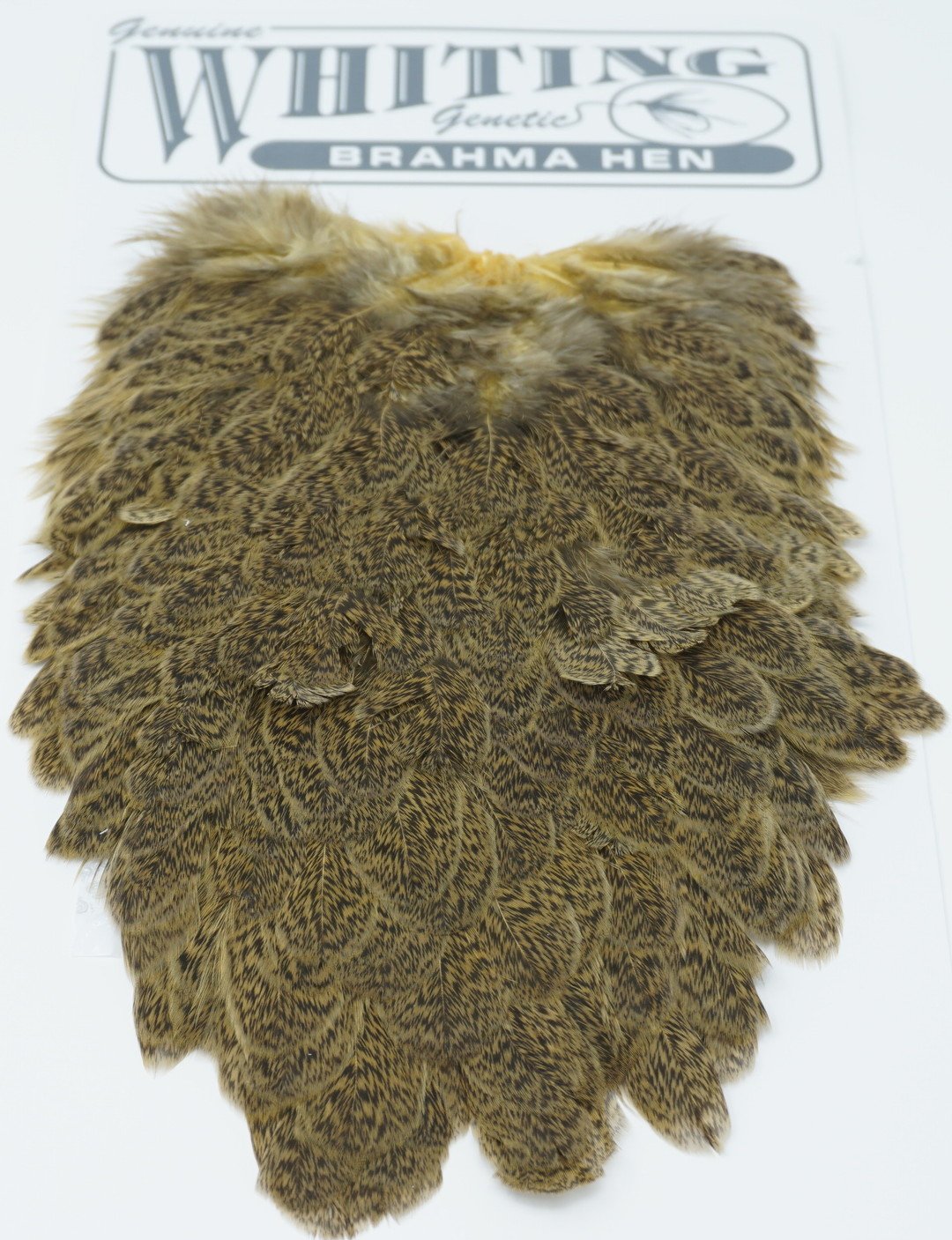 Whiting Brahma Hen Saddle Mottled Grey dyed Golden Straw Saddle Hackle, Hen Hackle, Asst. Feathers