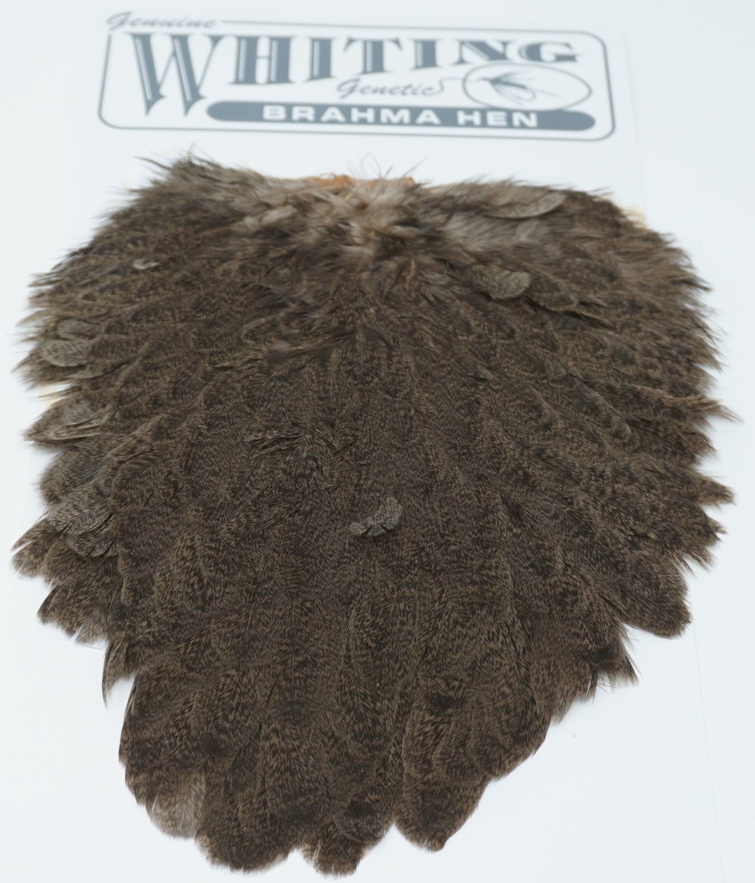 Whiting Brahma Hen Saddle Mottled Grey dyed Tan Saddle Hackle, Hen Hackle, Asst. Feathers