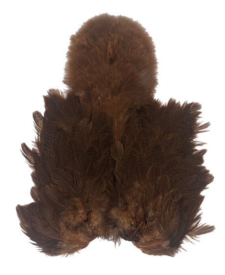 Whiting Brahma Soft Hackle with Chickabou Mottled Grey Dyed Golden Brown Saddle Hackle, Hen Hackle, Asst. Feathers