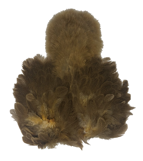 Whiting Brahma Soft Hackle with Chickabou Mottled Grey Dyed Golden Straw Saddle Hackle, Hen Hackle, Asst. Feathers