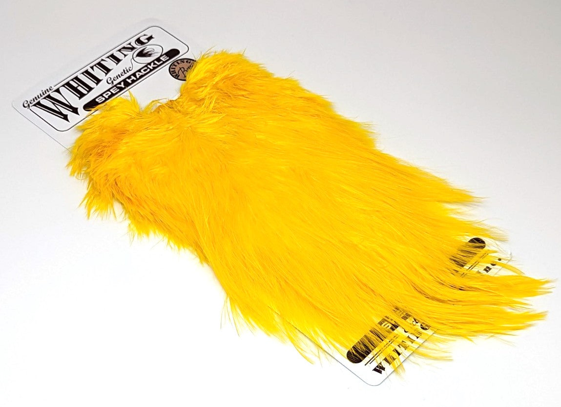 Whiting Bronze Spey Hackle Saddle White dyed Yellow – Dakota