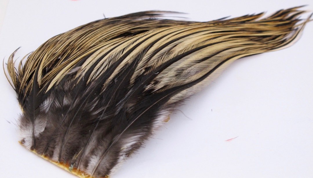 Whiting Bugger Pack Golden Badger Saddle Hackle, Hen Hackle, Asst. Feathers