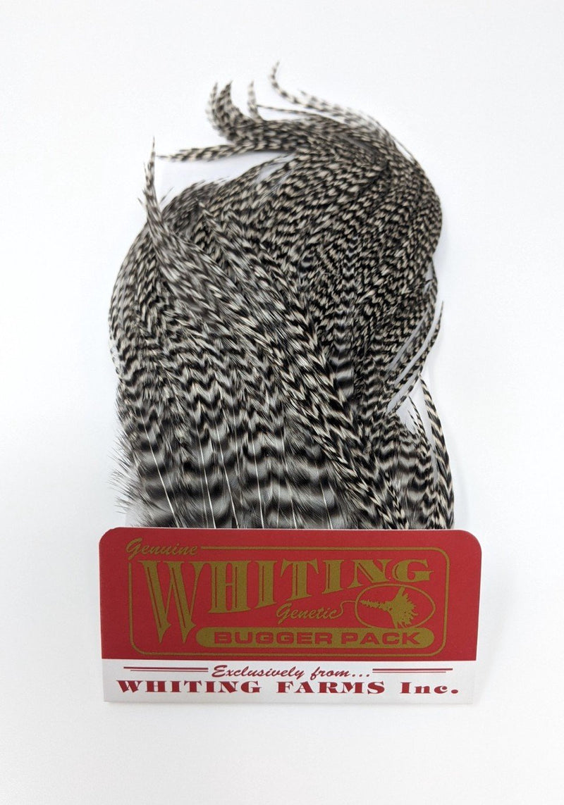 Whiting Bugger Pack Grizzly Natural Saddle Hackle, Hen Hackle, Asst. Feathers