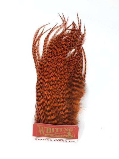 Whiting Bugger Pack Grizzly Orange Saddle Hackle, Hen Hackle, Asst. Feathers