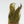 Whiting Bugger Pack Grizzly Yellow Saddle Hackle, Hen Hackle, Asst. Feathers