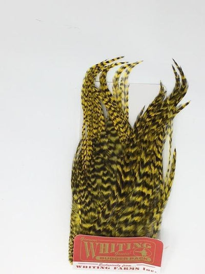 Whiting Bugger Pack Grizzly Yellow Saddle Hackle, Hen Hackle, Asst. Feathers