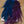 Whiting CDL Predator Pack King Fisher Blue/Purple