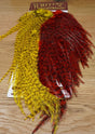 Whiting CDL Predator Pack Yellow/Red