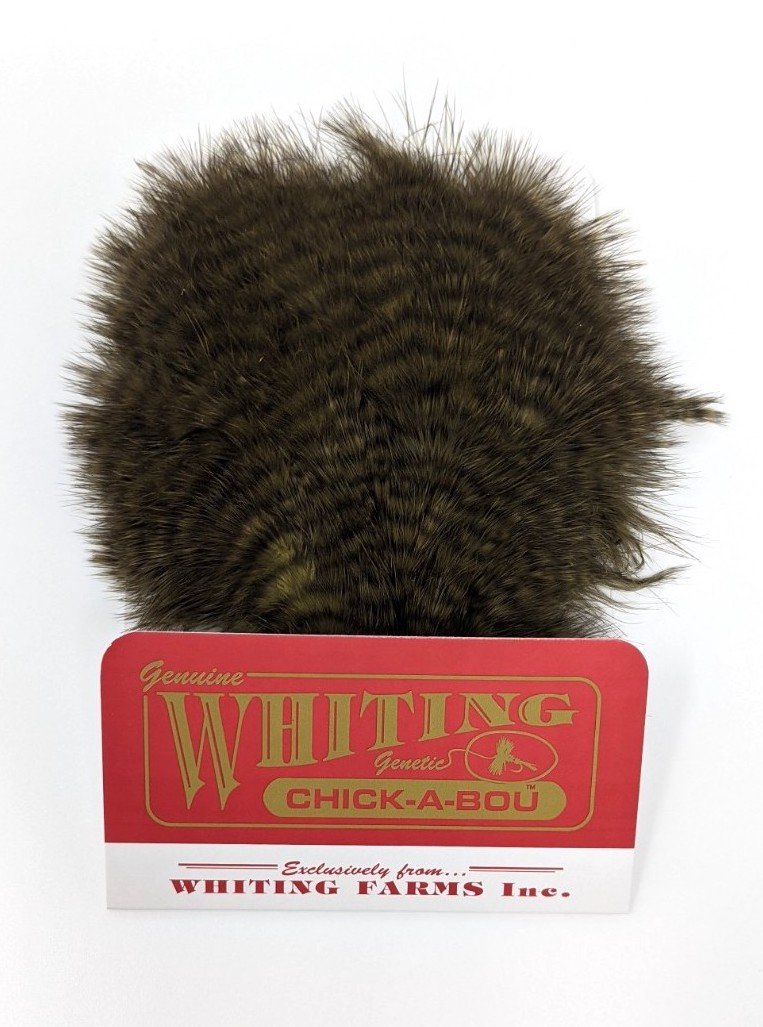 Whiting Chickabou Patch Grizzly Dark Olive Saddle Hackle, Hen Hackle, Asst. Feathers