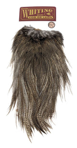 Whiting Coq de Leon Bronze Saddle Light Pardo Saddle Hackle, Hen Hackle, Asst. Feathers