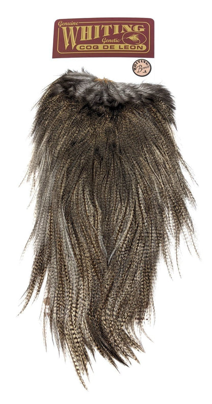 Whiting Coq de Leon Bronze Saddle Light Pardo Saddle Hackle, Hen Hackle, Asst. Feathers