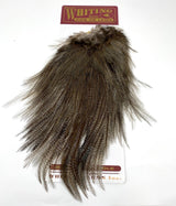 Whiting Coq de Leon Bronze Saddle Medium Pardo Saddle Hackle, Hen Hackle, Asst. Feathers