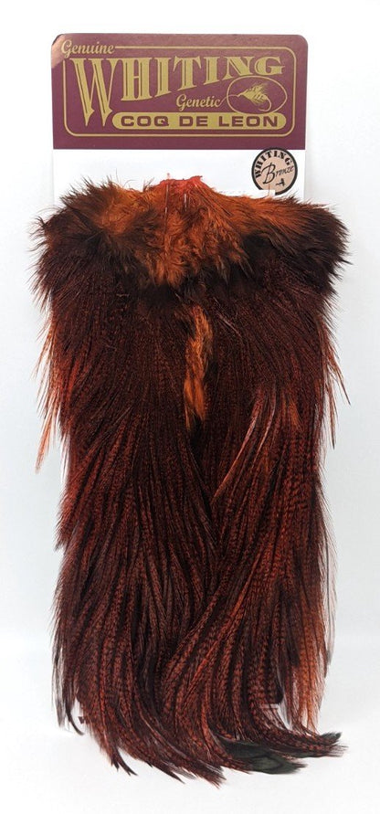 Whiting Coq de Leon Bronze Saddle Pardo dyed Orange Saddle Hackle, Hen Hackle, Asst. Feathers