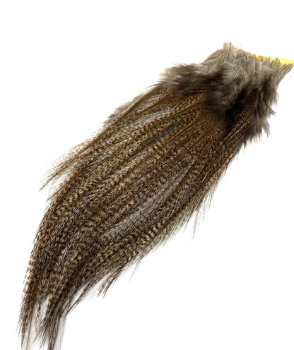 Whiting Coq De Leon Euro Nymph Tailing Pack Dark Pardo Saddle Hackle, Hen Hackle, Asst. Feathers