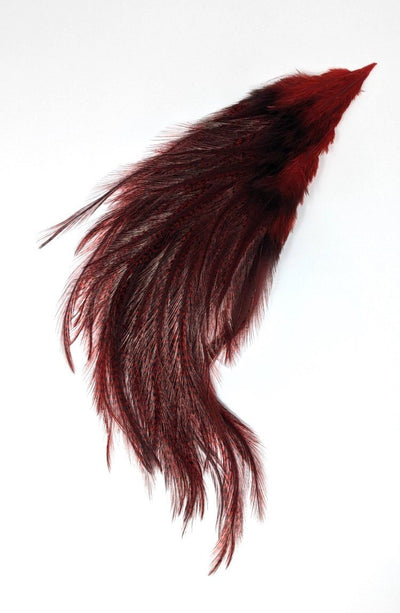 Whiting Coq De Leon Euro Nymph Tailing Pack Pardo dyed Red Saddle Hackle, Hen Hackle, Asst. Feathers