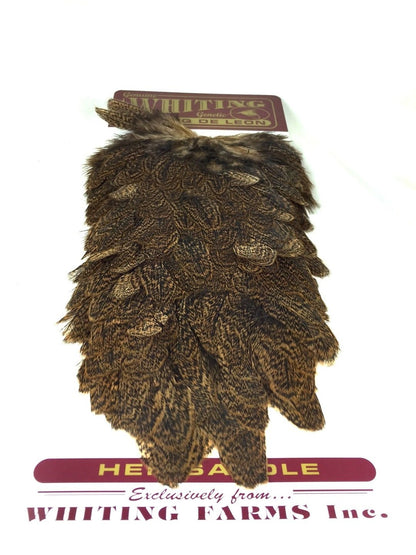 Whiting Coq de Leon Hen Saddle Saddle Hackle, Hen Hackle, Asst. Feathers