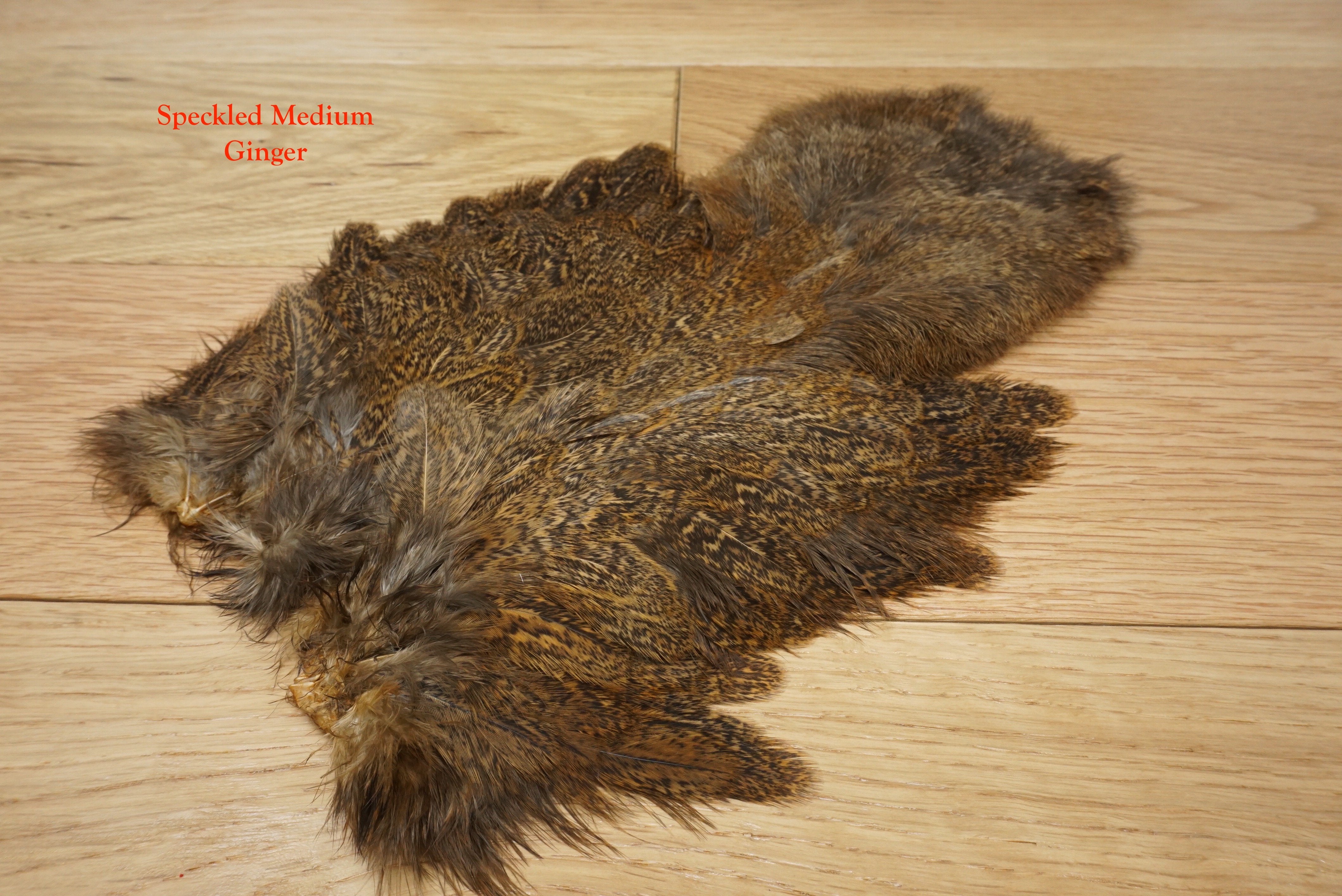 Whiting Hackle – Dakota Angler & Outfitter