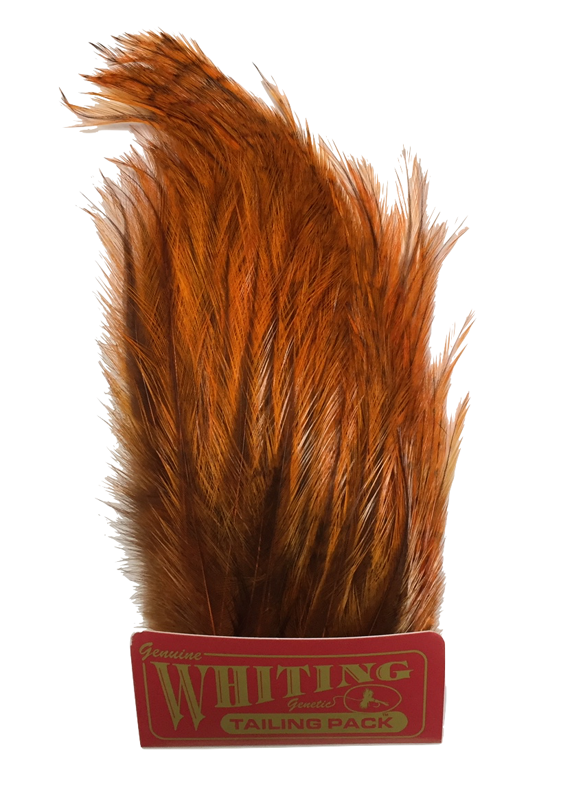 Whiting Coq de Leon Tailing Pack - Badger Dyed Badger Dyed Burnt Orange Saddle Hackle, Hen Hackle, Asst. Feathers