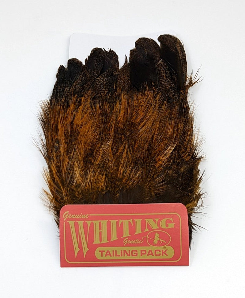 Whiting Coq de Leon Tailing Pack - Badger Dyed Badger dyed Copper Olive Saddle Hackle, Hen Hackle, Asst. Feathers