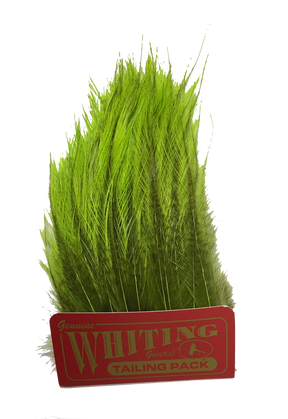 Whiting Coq de Leon Tailing Pack - Badger Dyed Badger Dyed FL. Green Chartreuse Saddle Hackle, Hen Hackle, Asst. Feathers