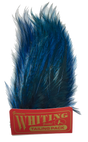 Whiting Coq de Leon Tailing Pack - Badger Dyed Badger Dyed Kingfisher Blue Saddle Hackle, Hen Hackle, Asst. Feathers