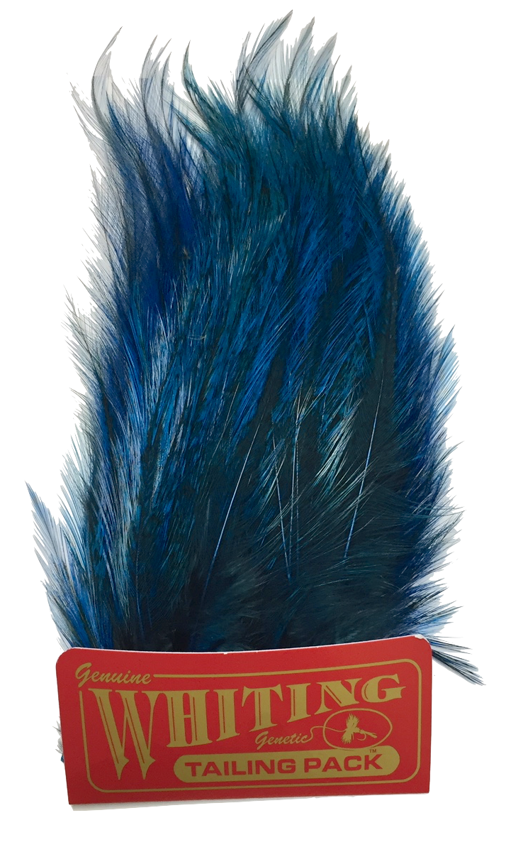 Whiting Coq de Leon Tailing Pack - Badger Dyed Badger Dyed Kingfisher Blue Saddle Hackle, Hen Hackle, Asst. Feathers