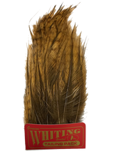 Whiting Coq de Leon Tailing Pack - Badger Dyed Badger Dyed Medium Ginger Saddle Hackle, Hen Hackle, Asst. Feathers