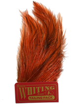 Whiting Coq de Leon Tailing Pack - Badger Dyed Badger Dyed Orange Saddle Hackle, Hen Hackle, Asst. Feathers