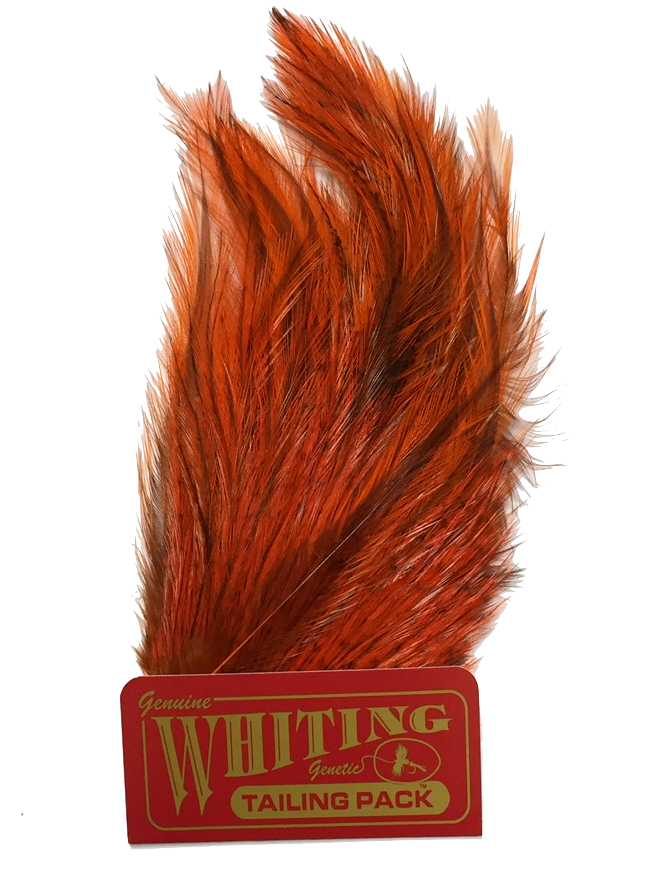 Whiting Coq de Leon Tailing Pack - Badger Dyed Badger Dyed Orange Saddle Hackle, Hen Hackle, Asst. Feathers