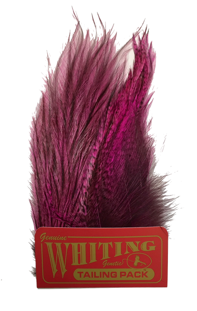 Whiting Coq de Leon Tailing Pack - Badger Dyed Badger Dyed Pink Saddle Hackle, Hen Hackle, Asst. Feathers