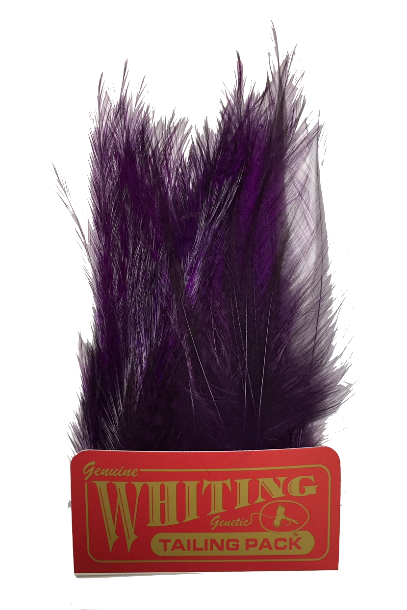 Whiting Coq de Leon Tailing Pack - Badger Dyed Badger Dyed Purple Saddle Hackle, Hen Hackle, Asst. Feathers