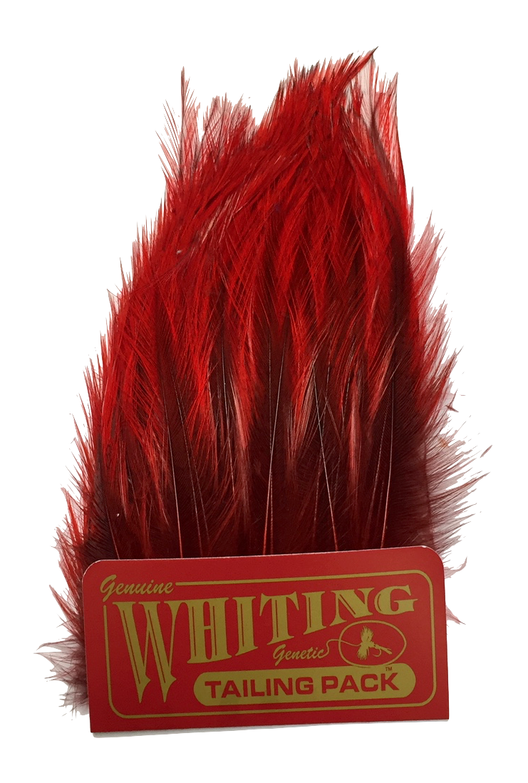 Whiting Coq de Leon Tailing Pack - Badger Dyed Badger Dyed Red Saddle Hackle, Hen Hackle, Asst. Feathers